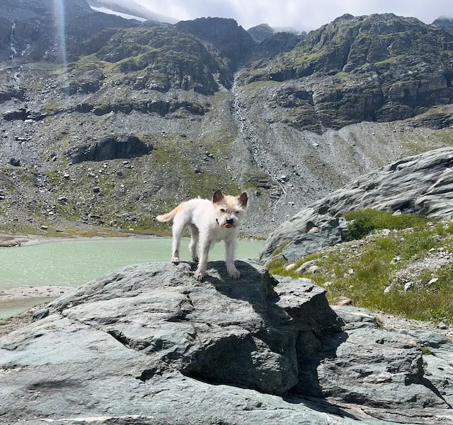 Ich bin noch fit - wo bleibt ihr