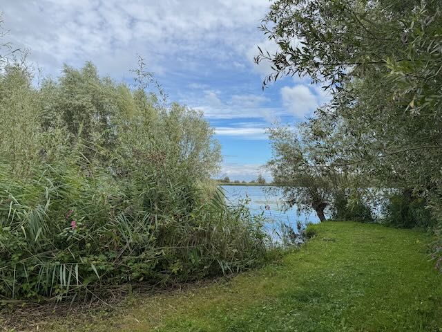 De Biesbosch Impressionen