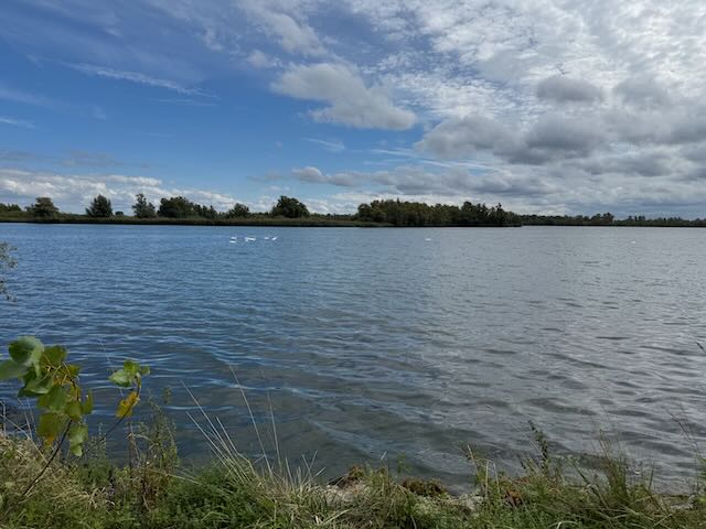 De Biesbosch Impressionen