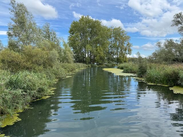 De Biesbosch Impressionen