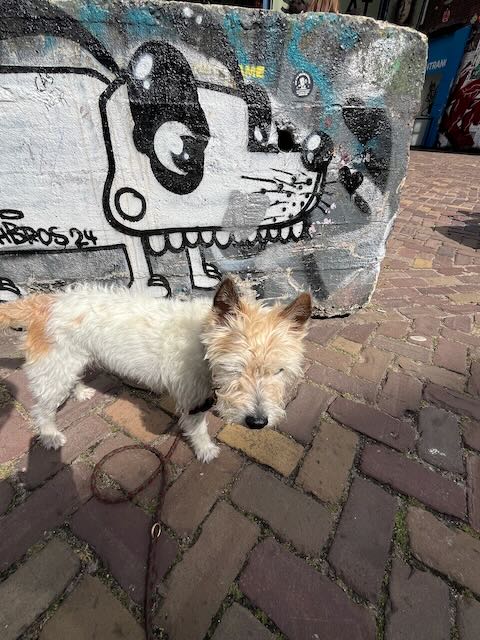 Lou hat passende Kunst gefunden