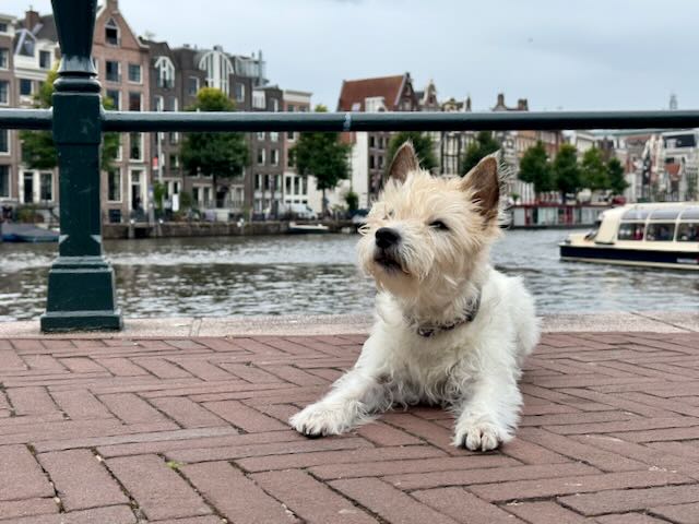 Lou vor den tanzenden Häusern